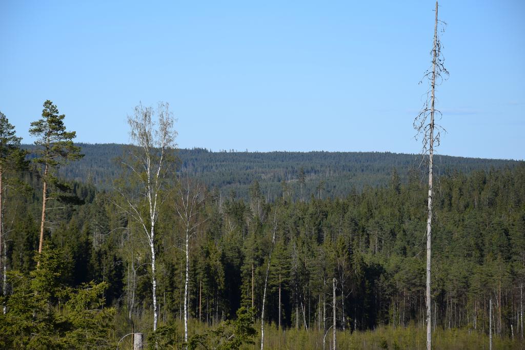 Kronobo Marieholm  Bagian luar foto