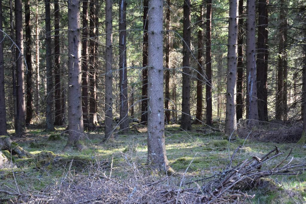 Kronobo Marieholm  Bagian luar foto