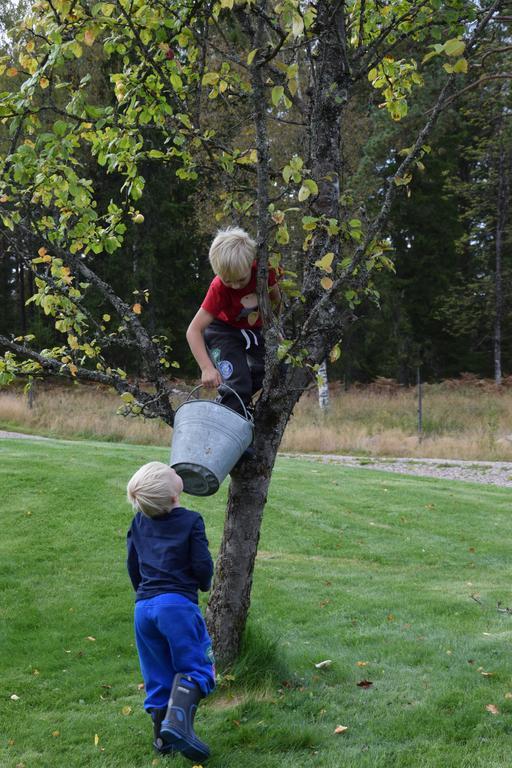 Kronobo Marieholm  Bagian luar foto