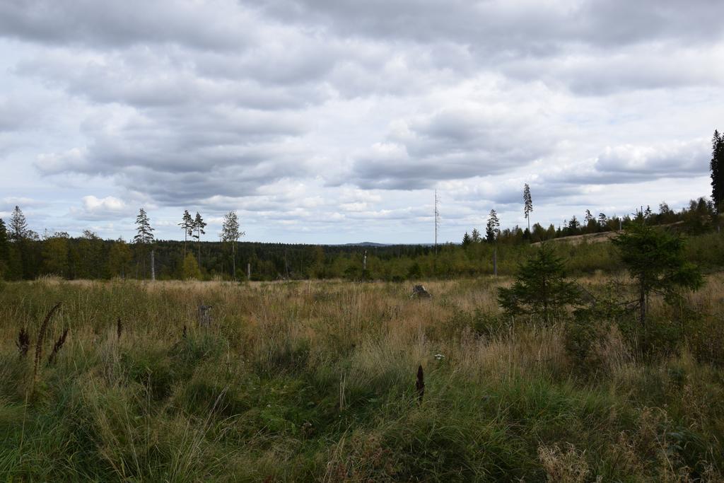 Kronobo Marieholm  Bagian luar foto